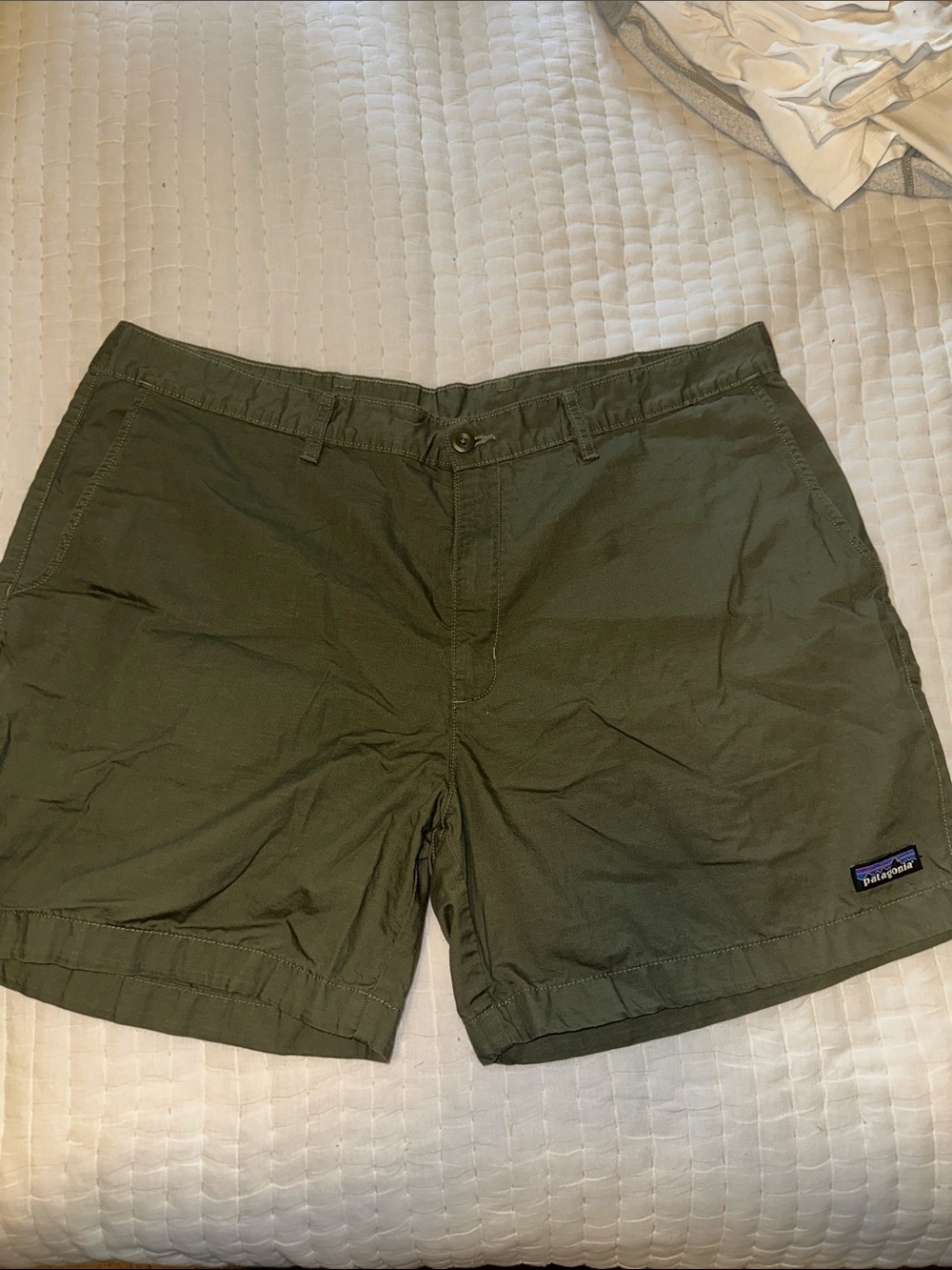 Patagonia Men's Olive Green Shorts